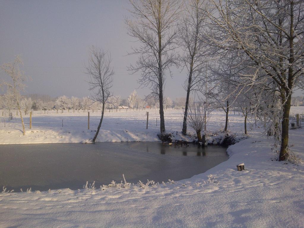 Paardenhof Guesthouse Esquelbecq Екстер'єр фото