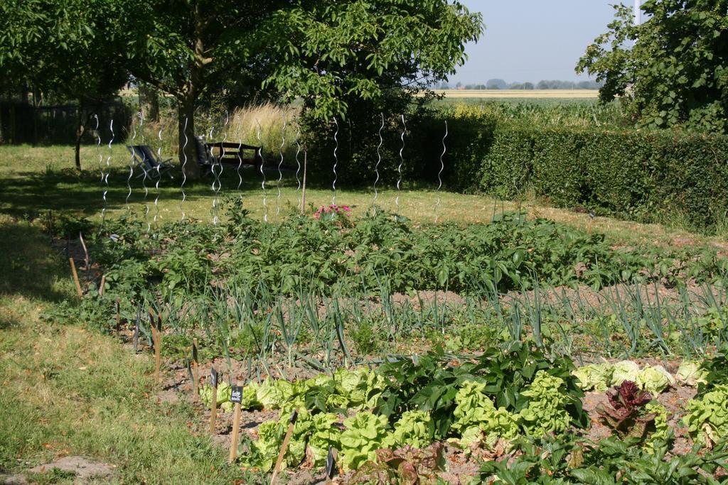 Paardenhof Guesthouse Esquelbecq Екстер'єр фото