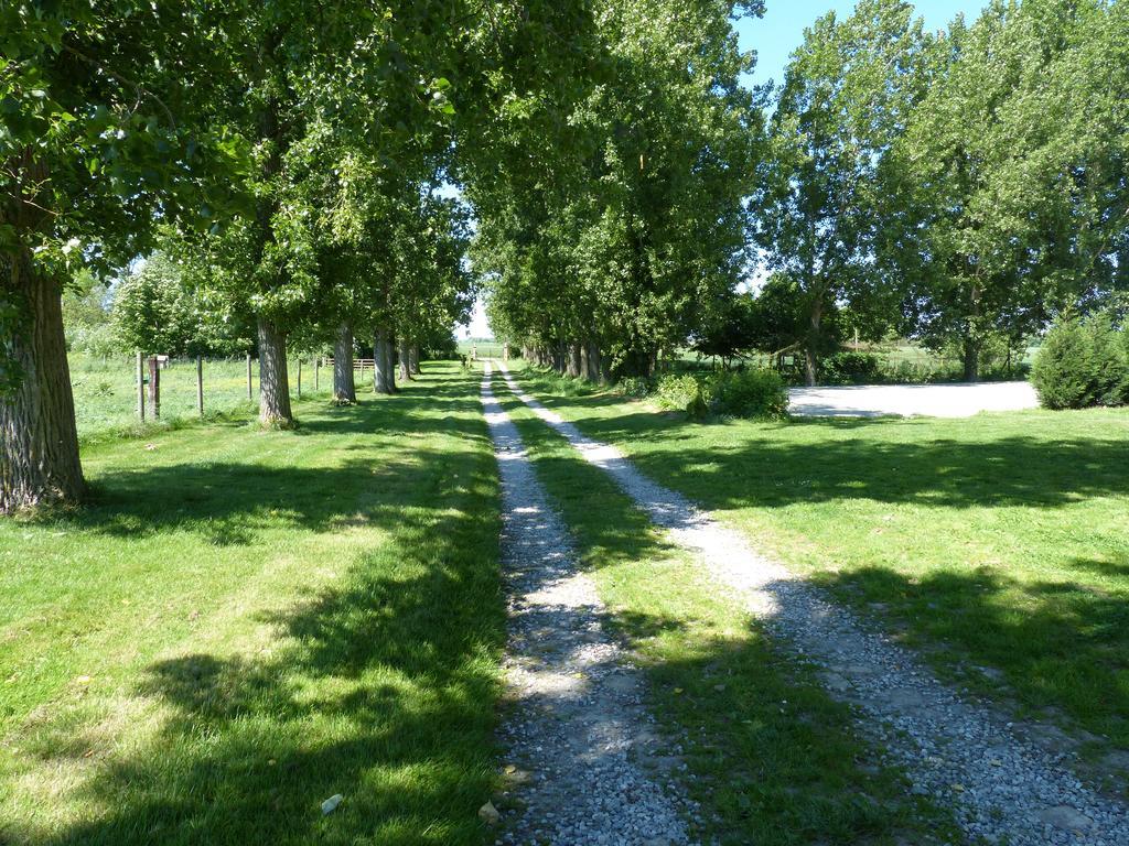 Paardenhof Guesthouse Esquelbecq Екстер'єр фото