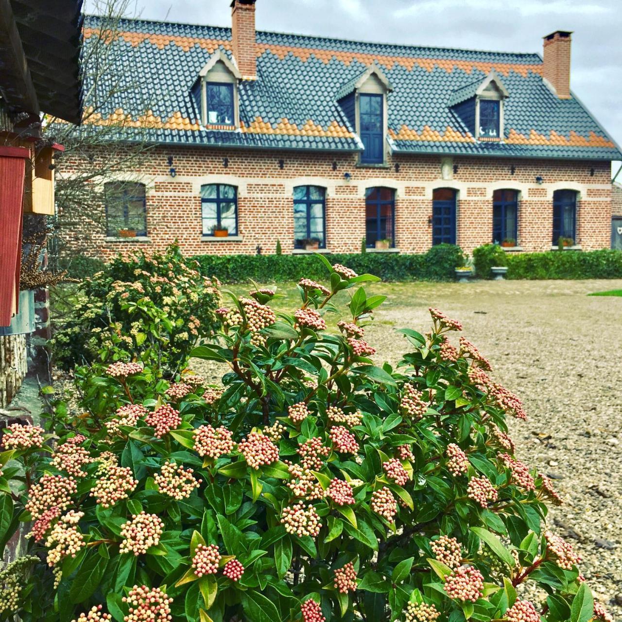 Paardenhof Guesthouse Esquelbecq Екстер'єр фото